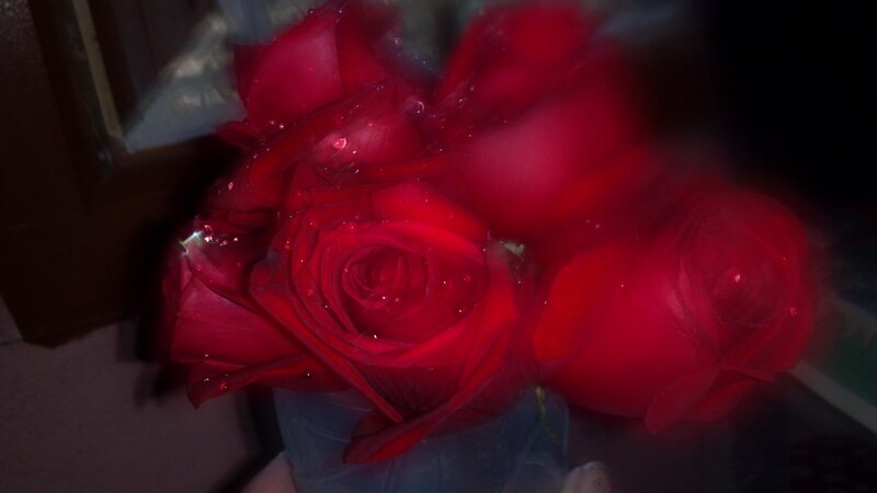 Red Roses in a Vase — Dark