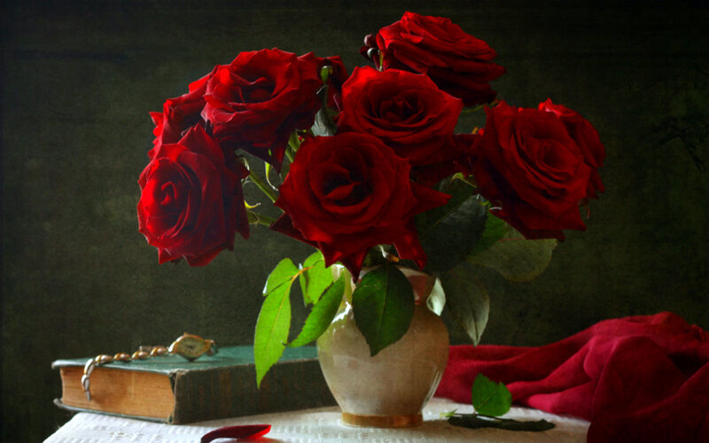 Red Roses in a Vase — Dramatic, Photograph, Book