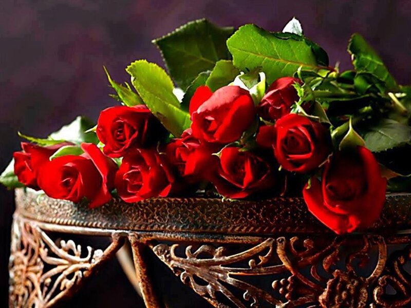 Red Roses in a Vase — Dramatic, Photograph, Leaves