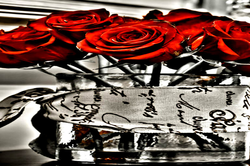 Red Roses in a Vase — Dramatic, Photograph, Ribbon