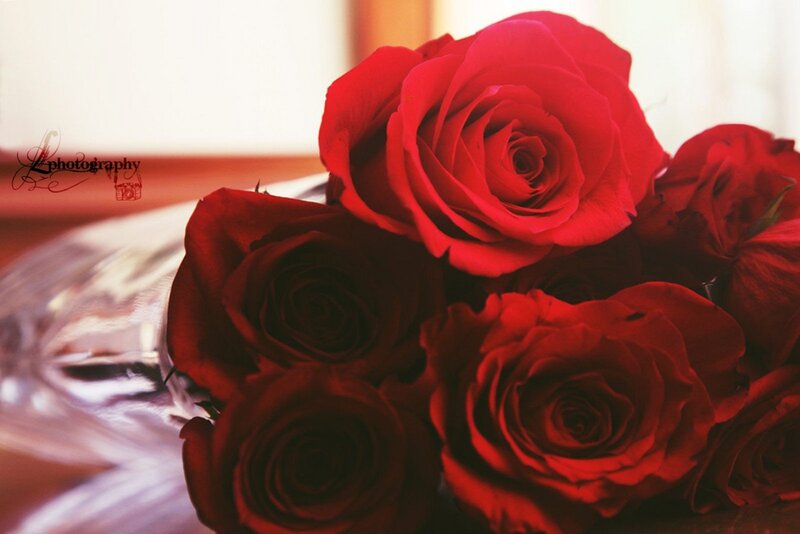 Red Roses in a Vase — Romantic