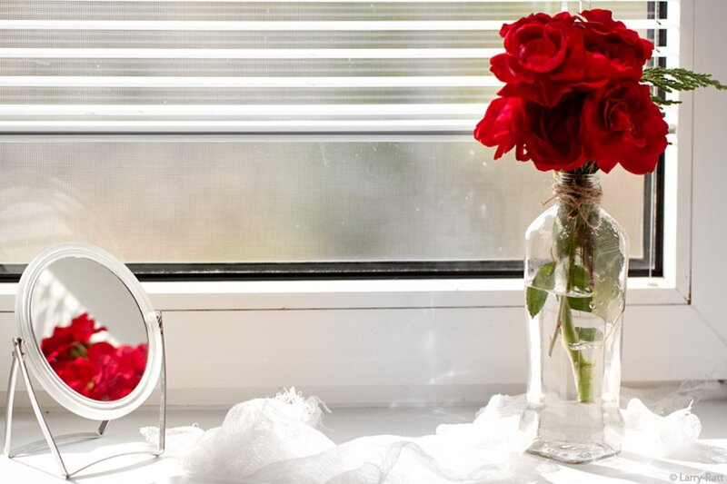 Red Roses in a Vase — Serene, Morning