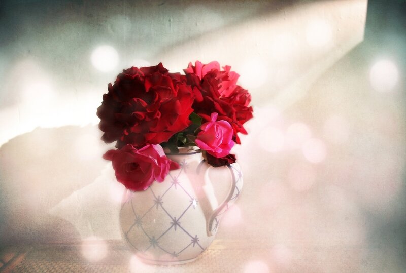 Red Roses in a Vase — Serene, Photograph