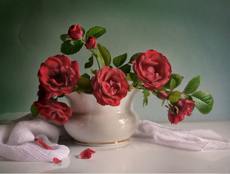 Red Roses in a Vase — Serene