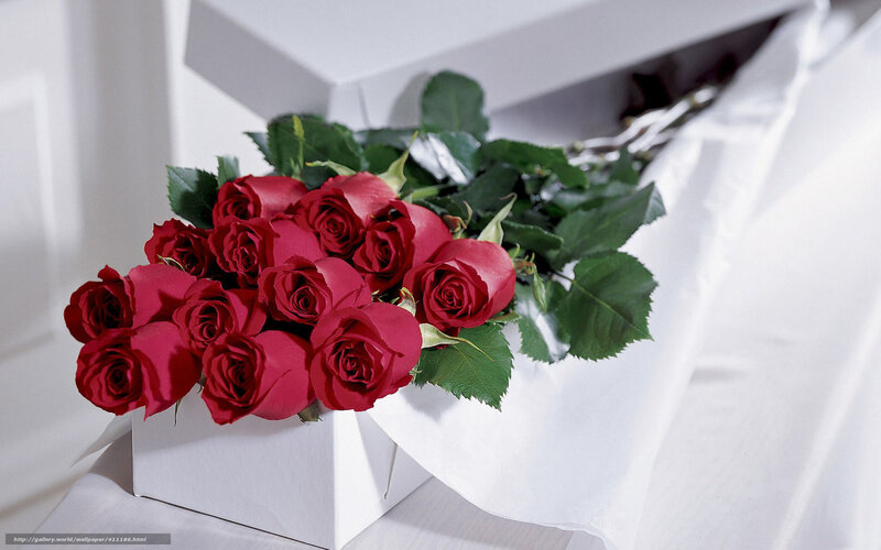 Red roses in a white box