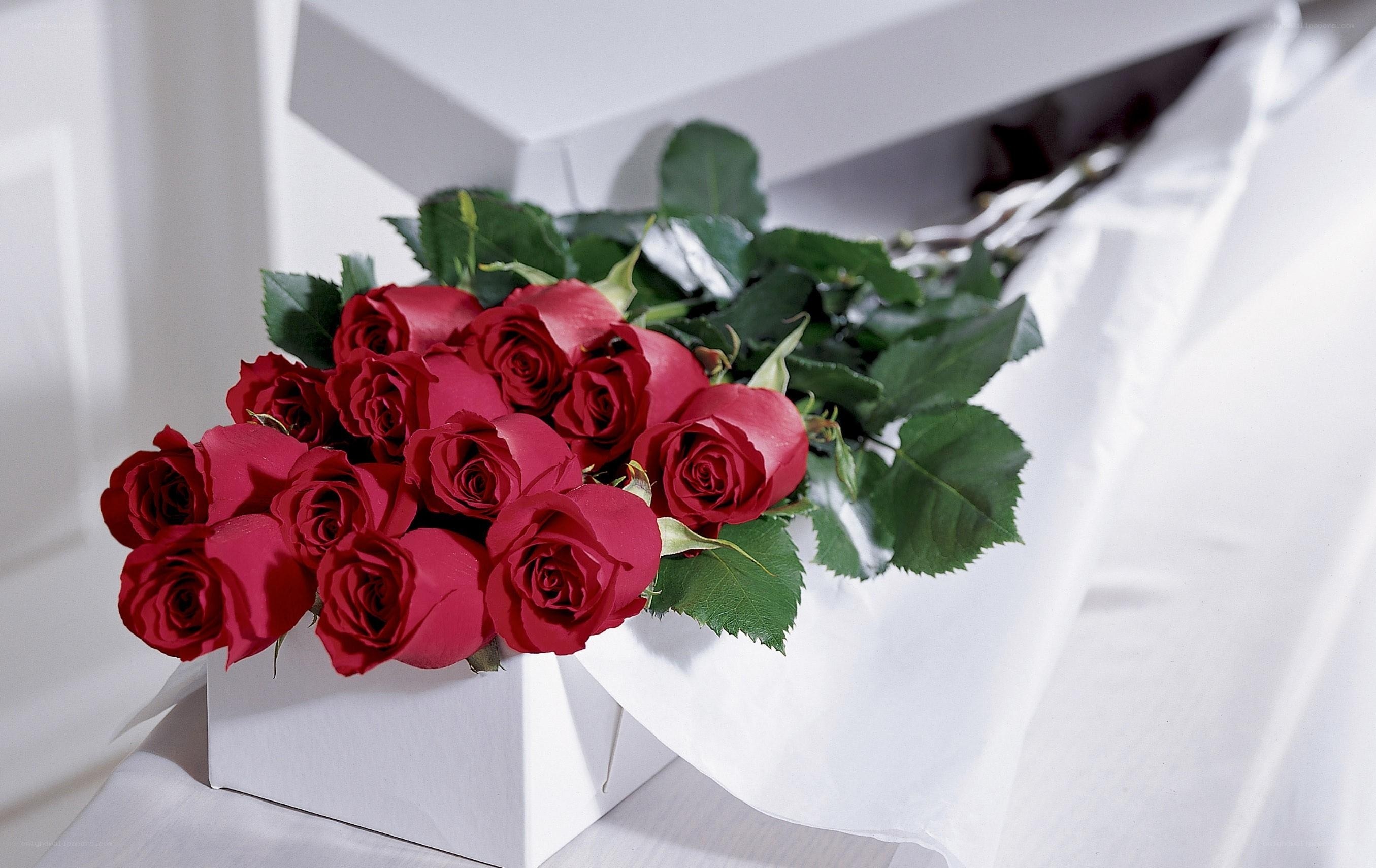 Red roses in a white box
