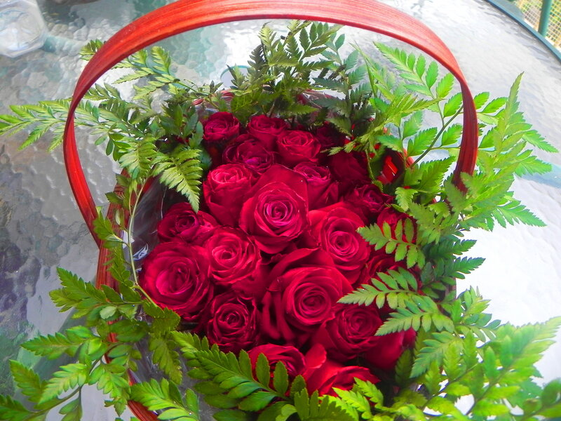 Red Roses in Basket — Calm, Afternoon