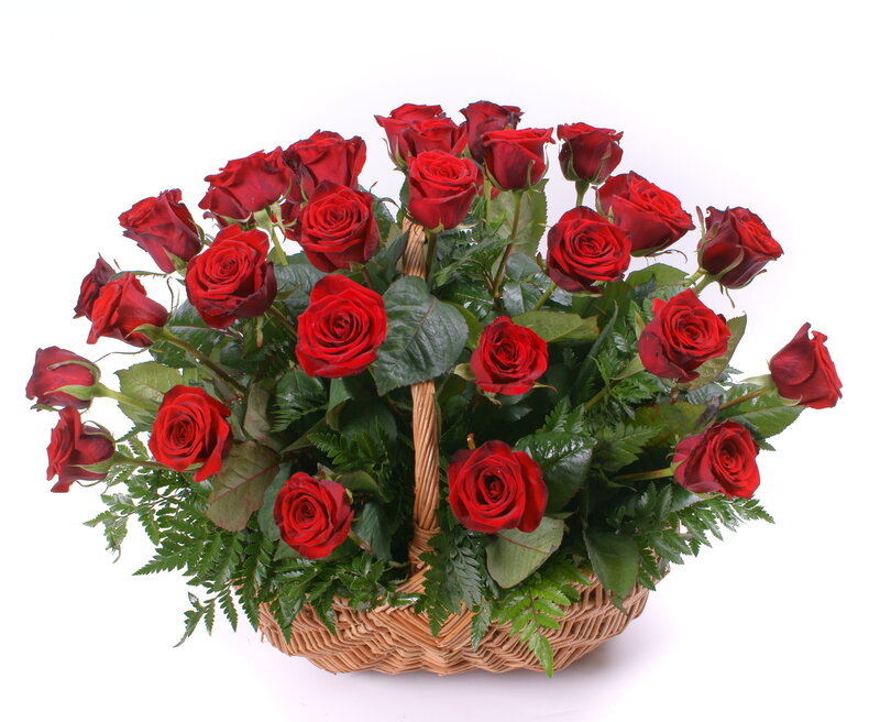 Red Roses in Basket — Calm, Photograph, Green Leaves