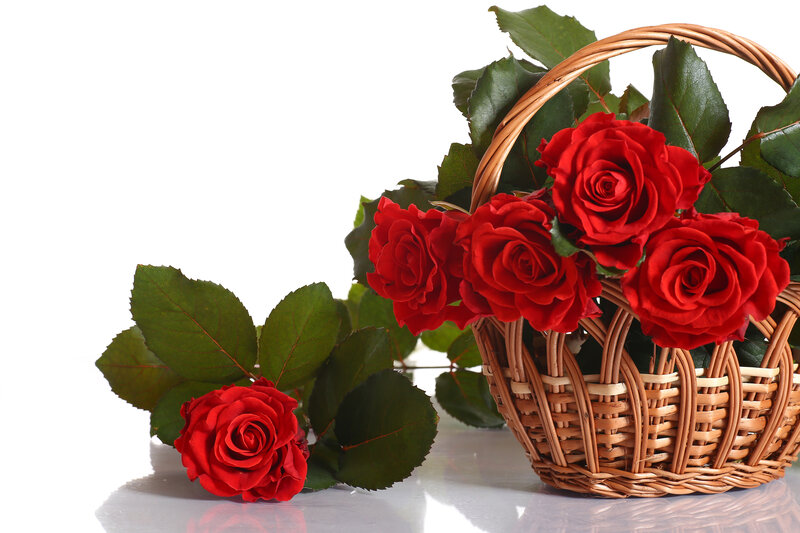 Red Roses in Basket — Calm, Photograph, Leaves, Table
