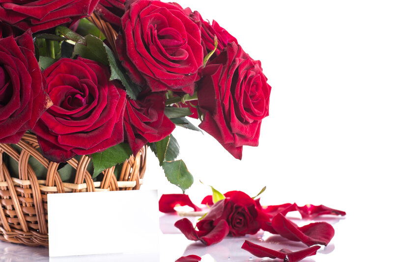 Red Roses in Basket — Calm, Photograph, Petals