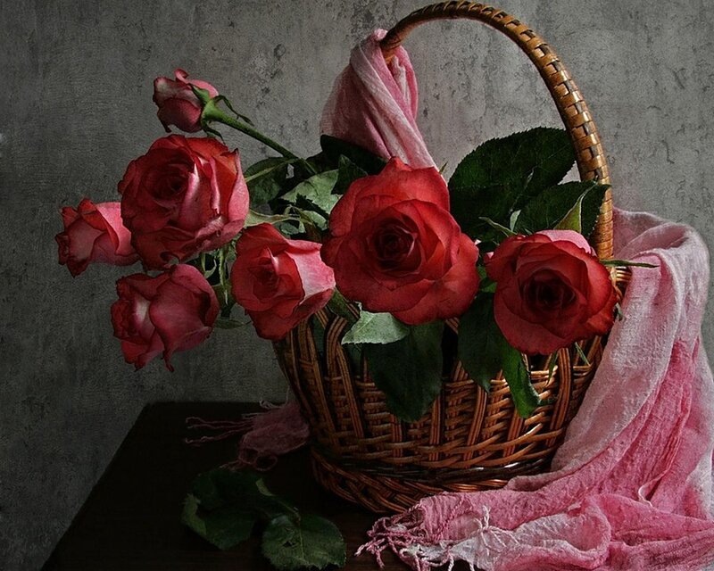 Red Roses in Basket — Calm, Photograph, Scarf