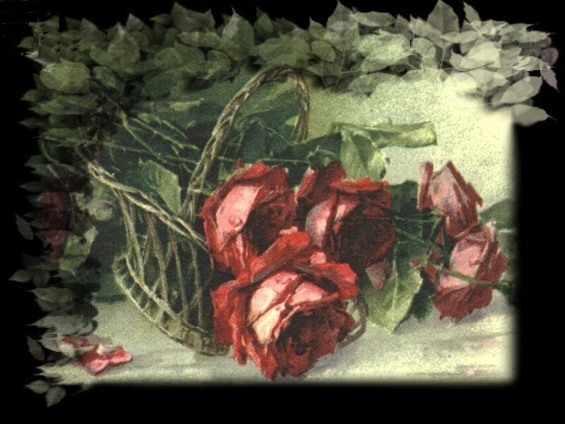 Red Roses in Basket — Calm