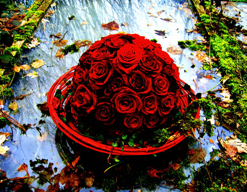 Red Roses in Basket — Dramatic, Autumn