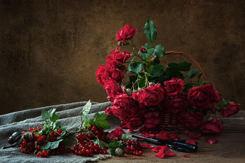 Red Roses in Basket — Dramatic, Photograph, Berries