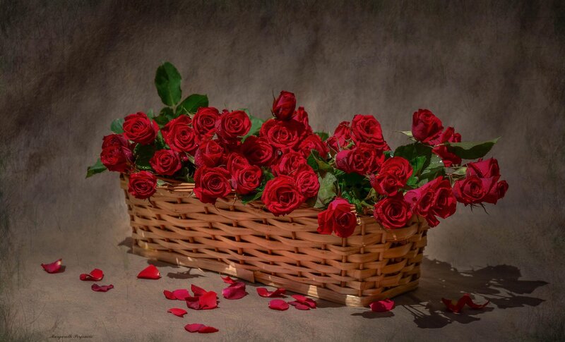 Red Roses in Basket — Dramatic, Photograph