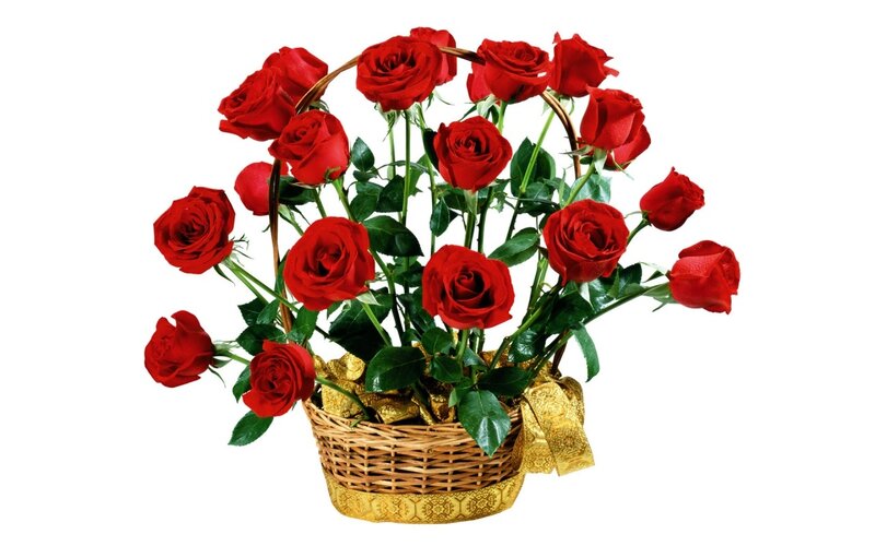 Red Roses in Basket — Festive