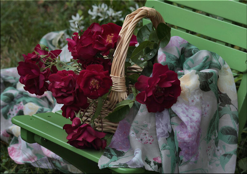Red Roses in Basket — Green
