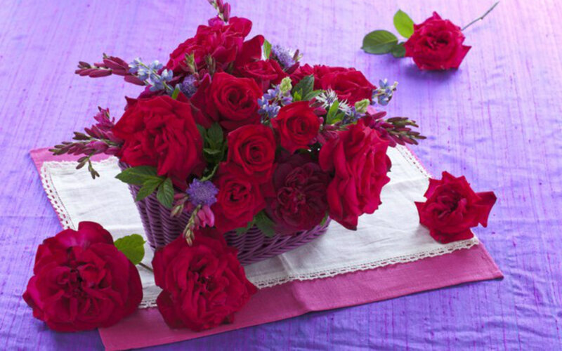 Red Roses in Basket — Purple