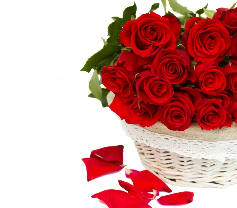 Red Roses in Basket — Romantic, Photograph, Petals