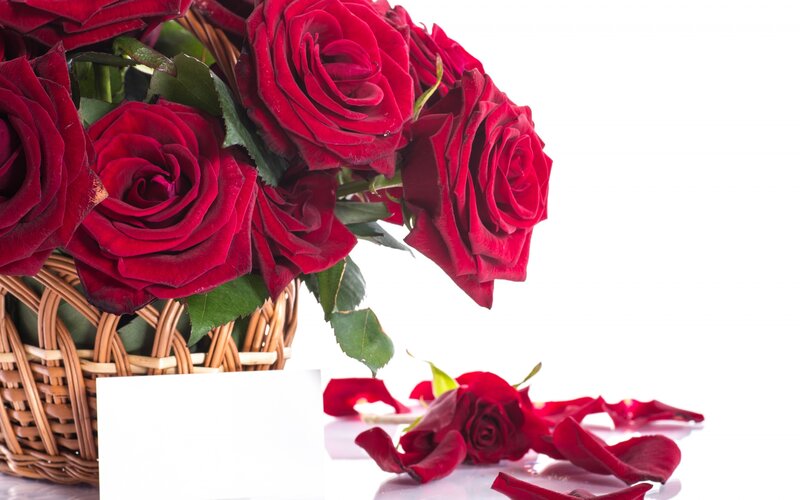 Red Roses in Basket — Romantic, Photograph