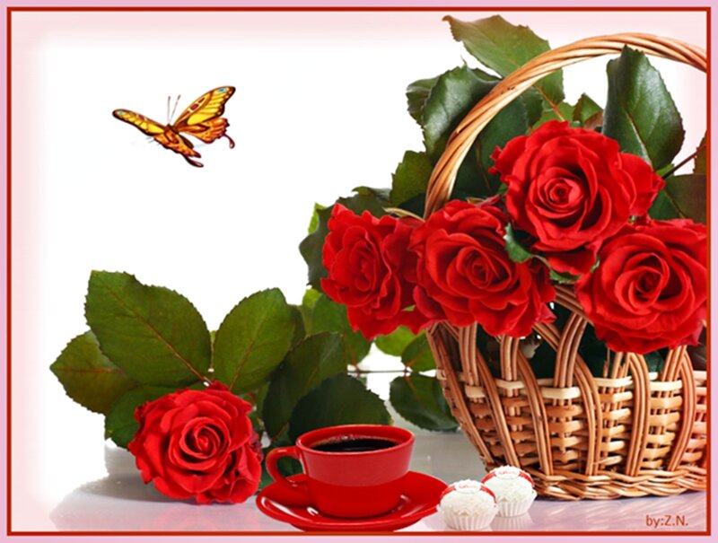 Red Roses in Basket — Serene, Morning