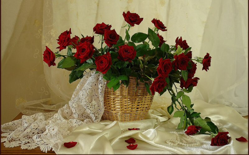 Red Roses in Basket — Serene, Photograph