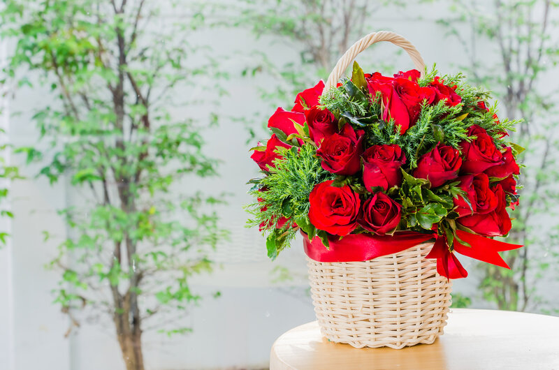 Red Roses in Basket — Serene, Spring