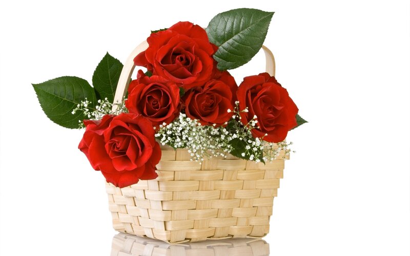 Red Roses in Basket