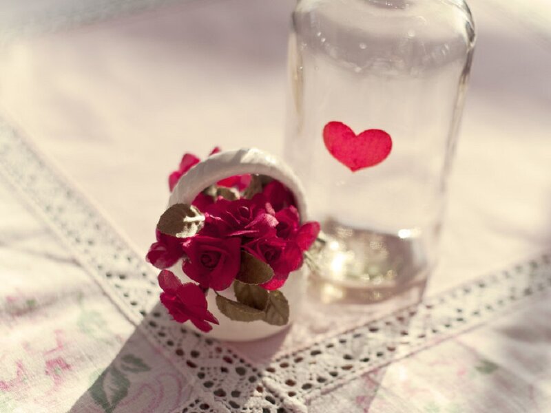 Red Roses in Basket — White, Serene