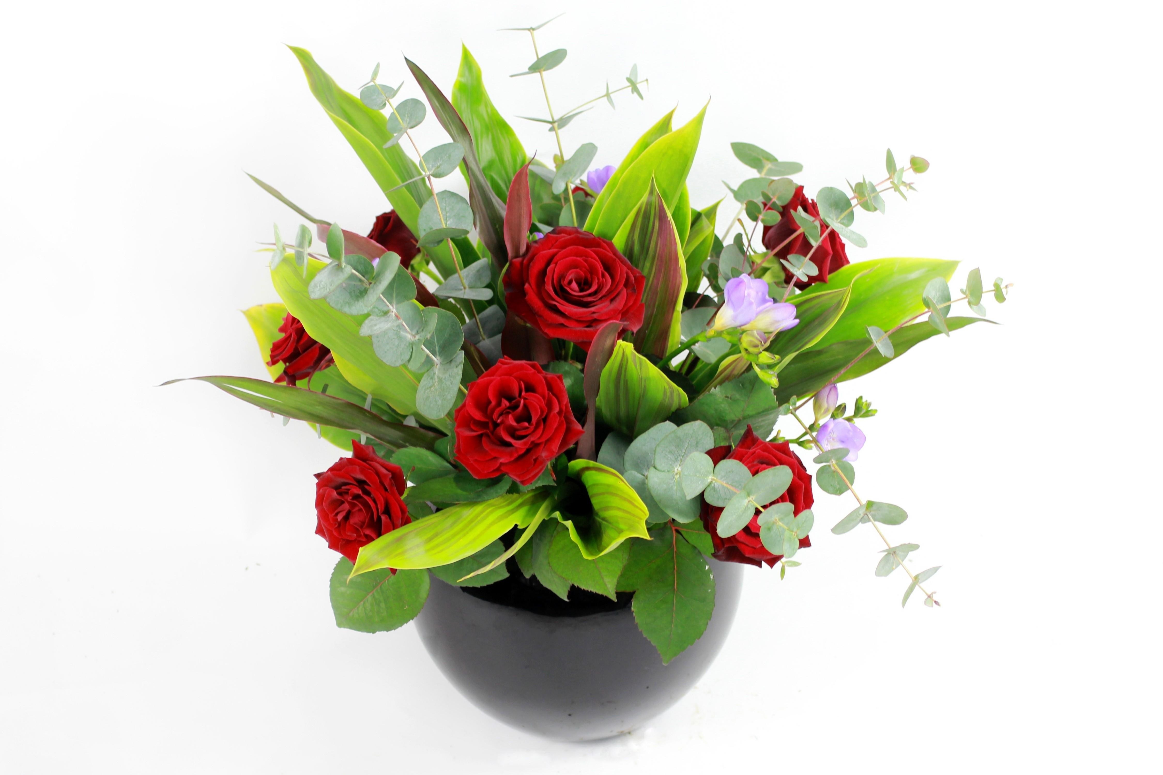 Red roses in black vase