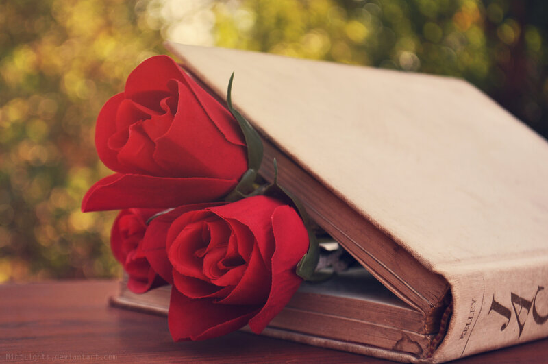 Red Roses in Book