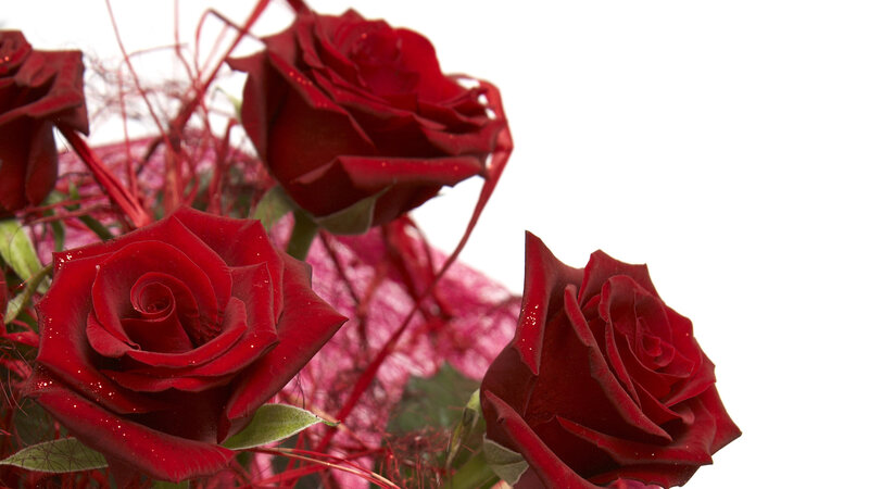 Red Roses in Bouquet — Calm, Photograph, Green Leaves, Red Ribbons