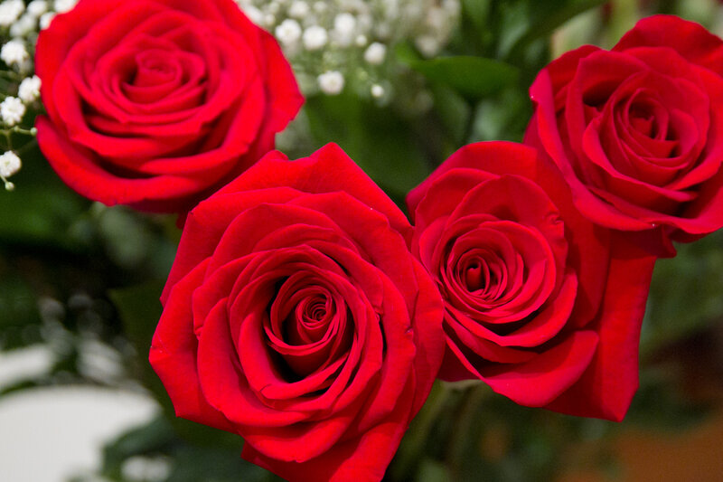 Red Roses in Bouquet — Calm, Photograph, White Flowers