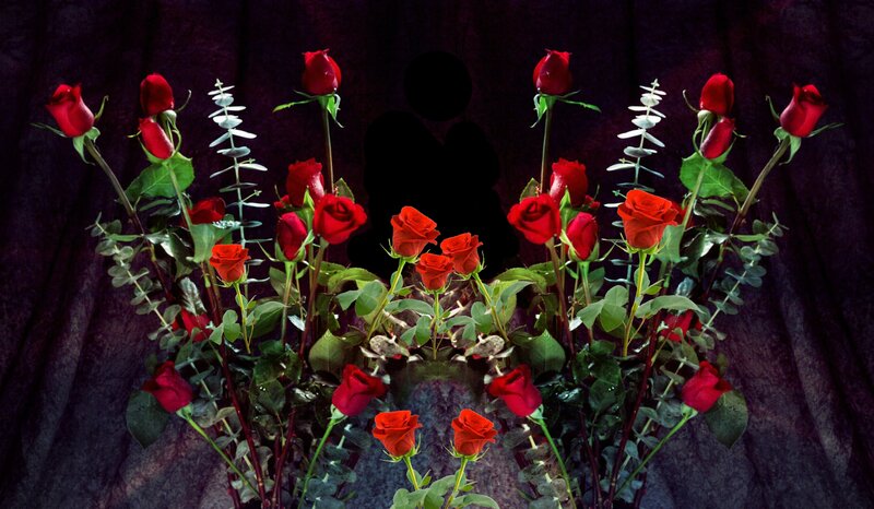 Red Roses in Bouquet — Dramatic, Photograph, Eucalyptus