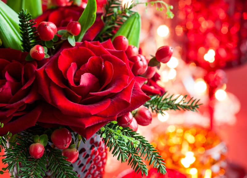 Red Roses in Bouquet — Festive, Winter