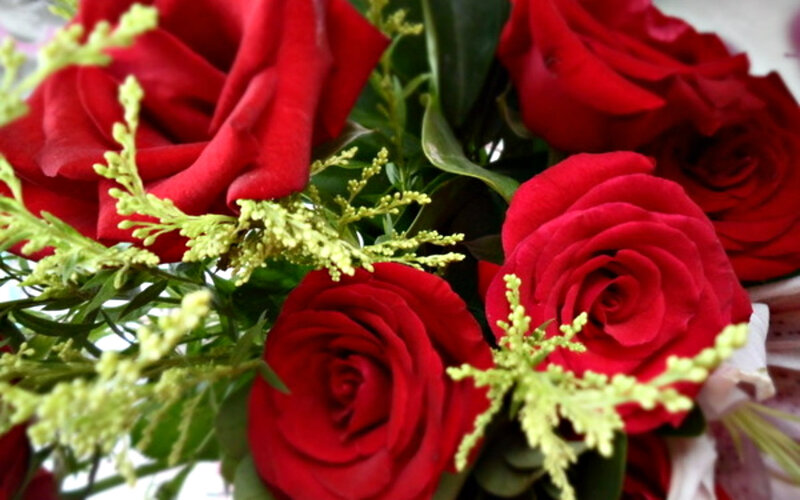 Red Roses in Bouquet — Romantic, Photograph, Green Filler
