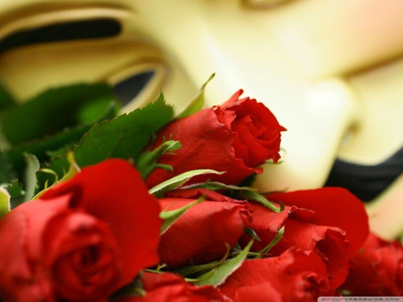 Red Roses in Bouquet — Romantic, Photograph, Green Leaves