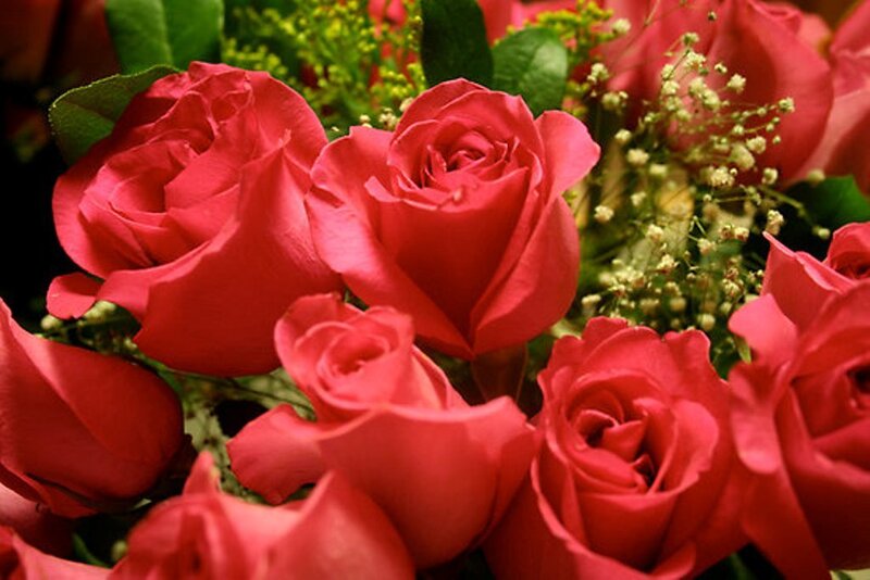 Red Roses in Bouquet