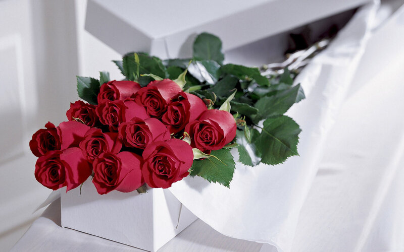 Red Roses in Box — Calm