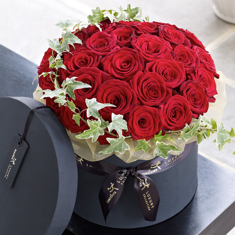 Red Roses in Box — Elegant, Photograph