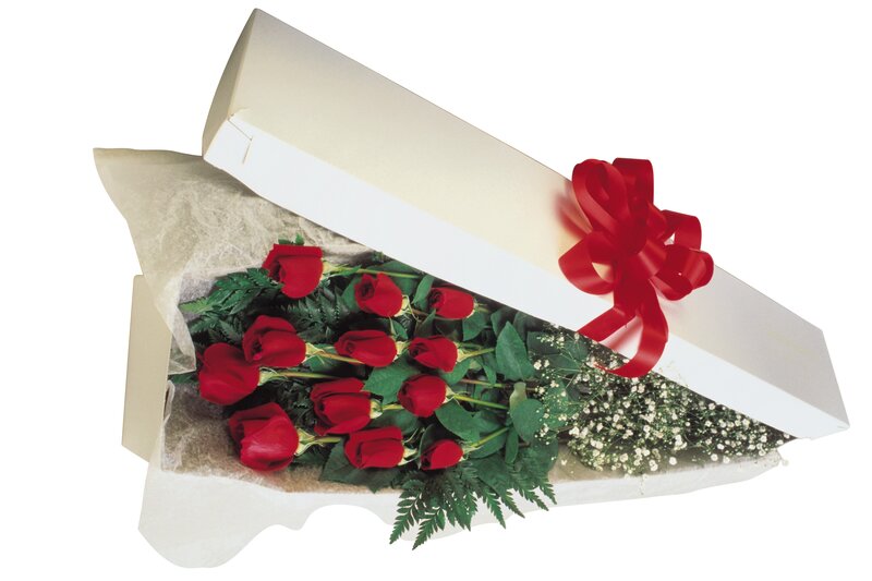 Red Roses in Box — Festive