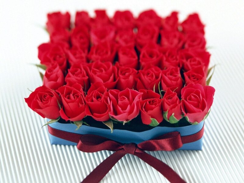 Red Roses in Box — Romantic, Photograph