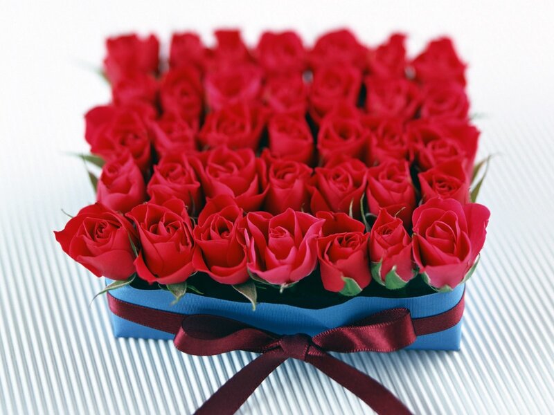 Red Roses in Box