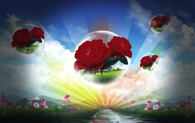 Red Roses in Bubbles — Blue