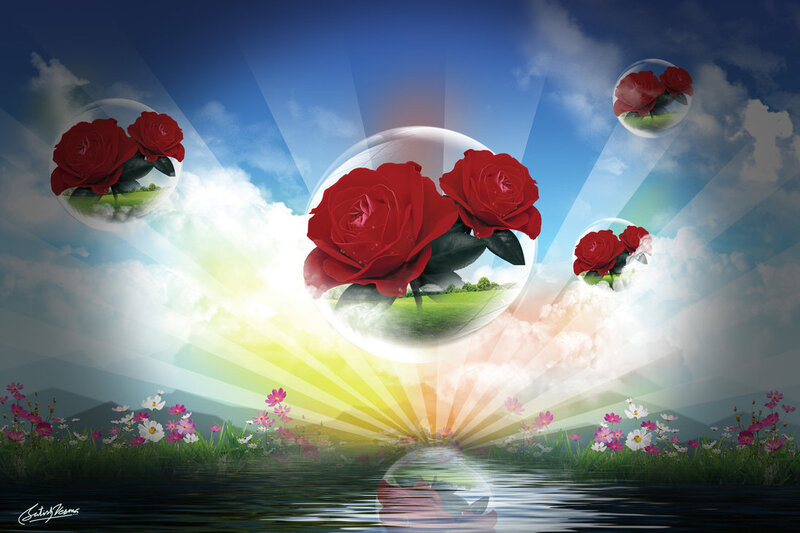 Red Roses in Bubbles