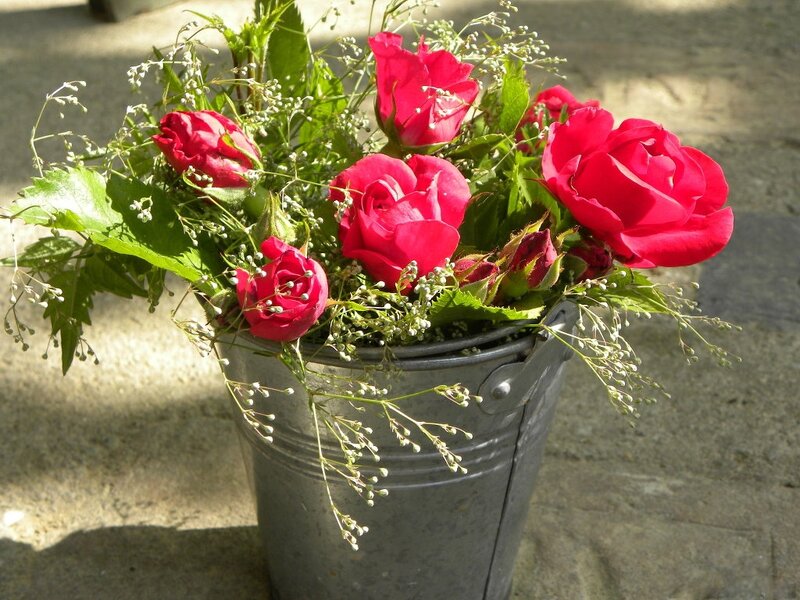 Red Roses in Bucket