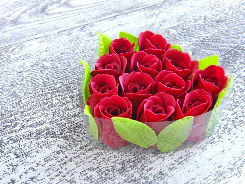 Red Roses in Container — Calm