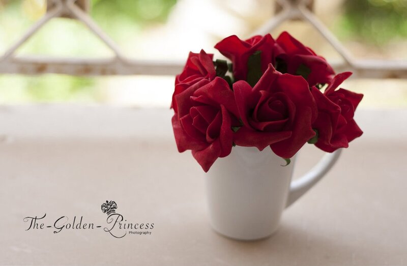 Red Roses in Cup