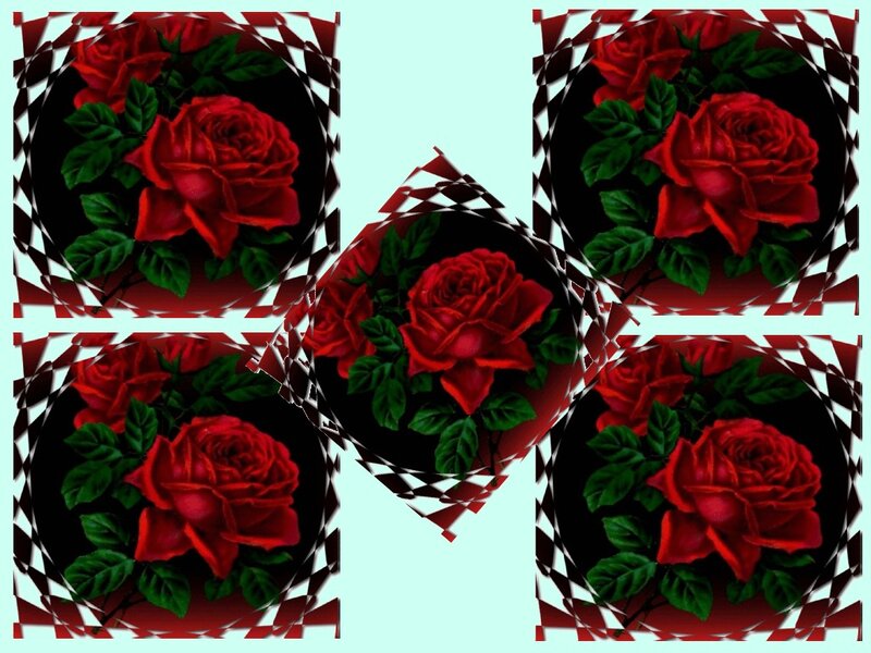Red Roses in Frames — Decorative