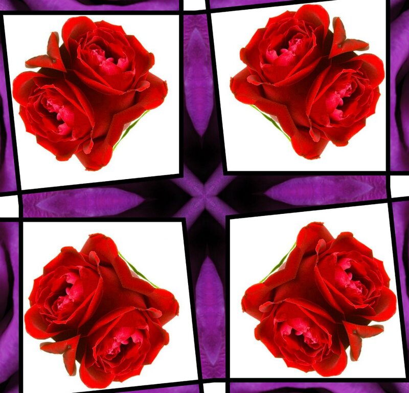 Red Roses in Frames